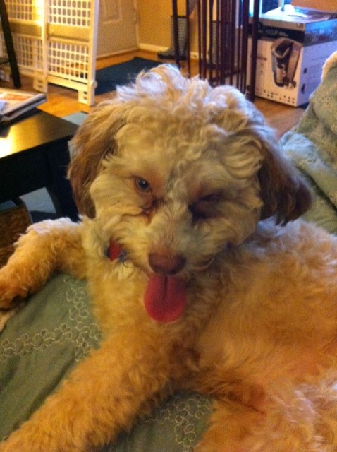 Face of Harry #2 - Watch Your Stuff