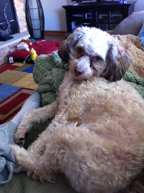 Face of Harry #1 - Sexy Pose